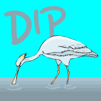 DIP - Full Cover cover